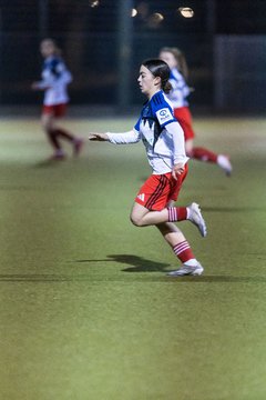 Bild 422 - F SC Alstertal-Langenhorn - Hamburger SV 3 : Ergebnis: 2:2